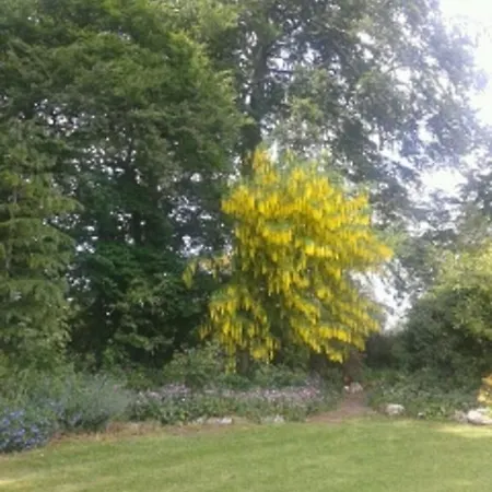 Grange Manor (adults Only) Bed and breakfast Ballyragget