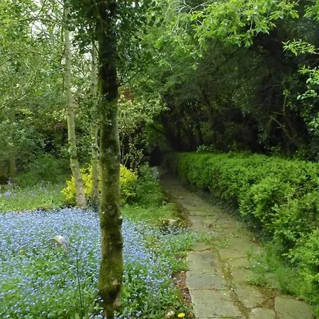 Grange Manor (adults Only)