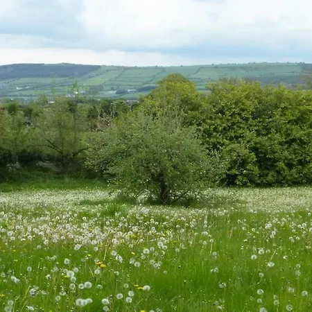 ベッド・アンド・ブレックファスト Grange Manor (adults Only)