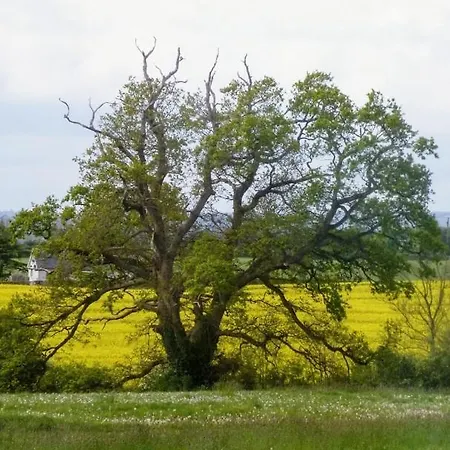 Grange Manor (adults Only) 3*