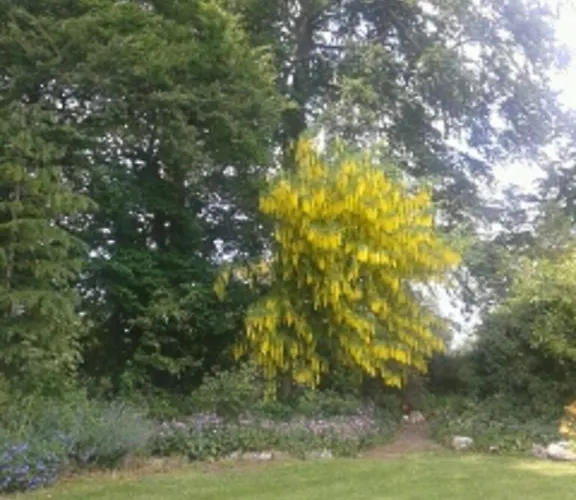 Grange Manor (adults Only) Bed & Breakfast Ballyragget