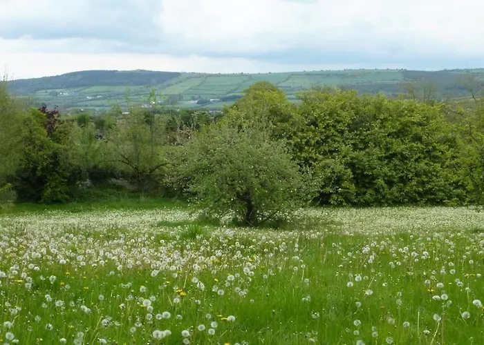 Bed & Breakfast Grange Manor (adults Only)