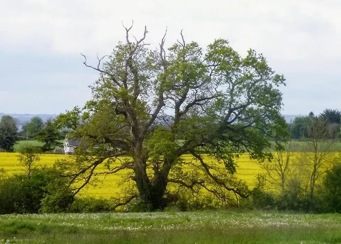 Grange Manor (adults Only) 3*